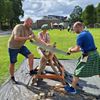 Highland Boomstam Zagen