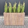 Plantenbak hoog hout/gras