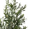 Kunstboom Olive 180cm