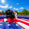 Rodeo American Classic bull rodeo-american-classic