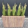 Plantenbak hoog hout/gras