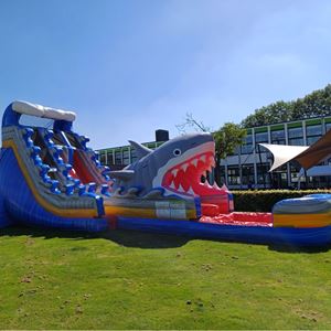 Haai Water Slide ( met zwembad ) Haai Water Slide ( met zwembad )