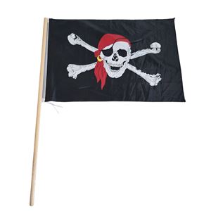Piratenvlag Piratenvlag