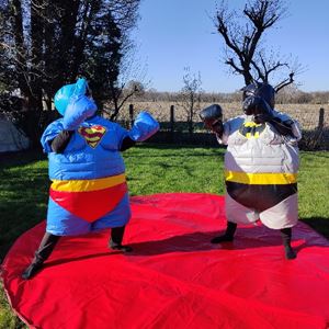 Sumoworstelpak Superman VS Batman VOLWASSEN