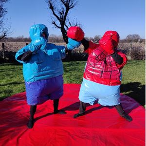 Sumoworstelpak Spiderman VS Hulk VOLWASSEN