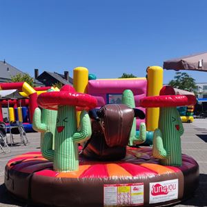 Trek Rodeo