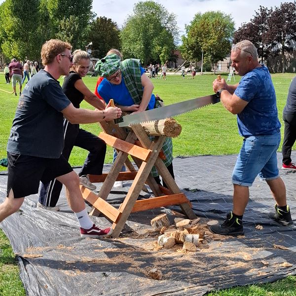 Highland Boomstam Zagen