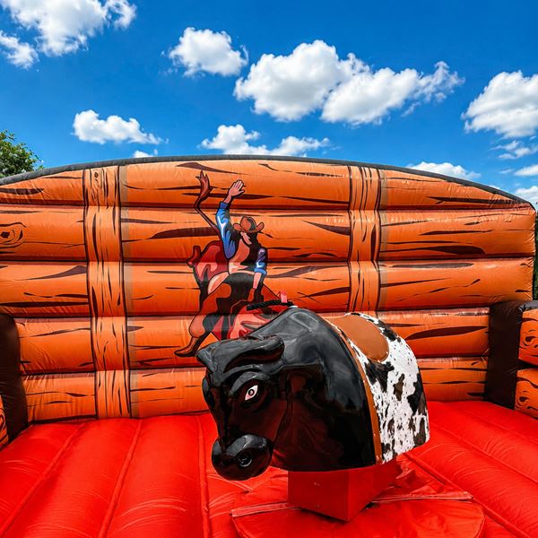 rodeo-western-bull-huren